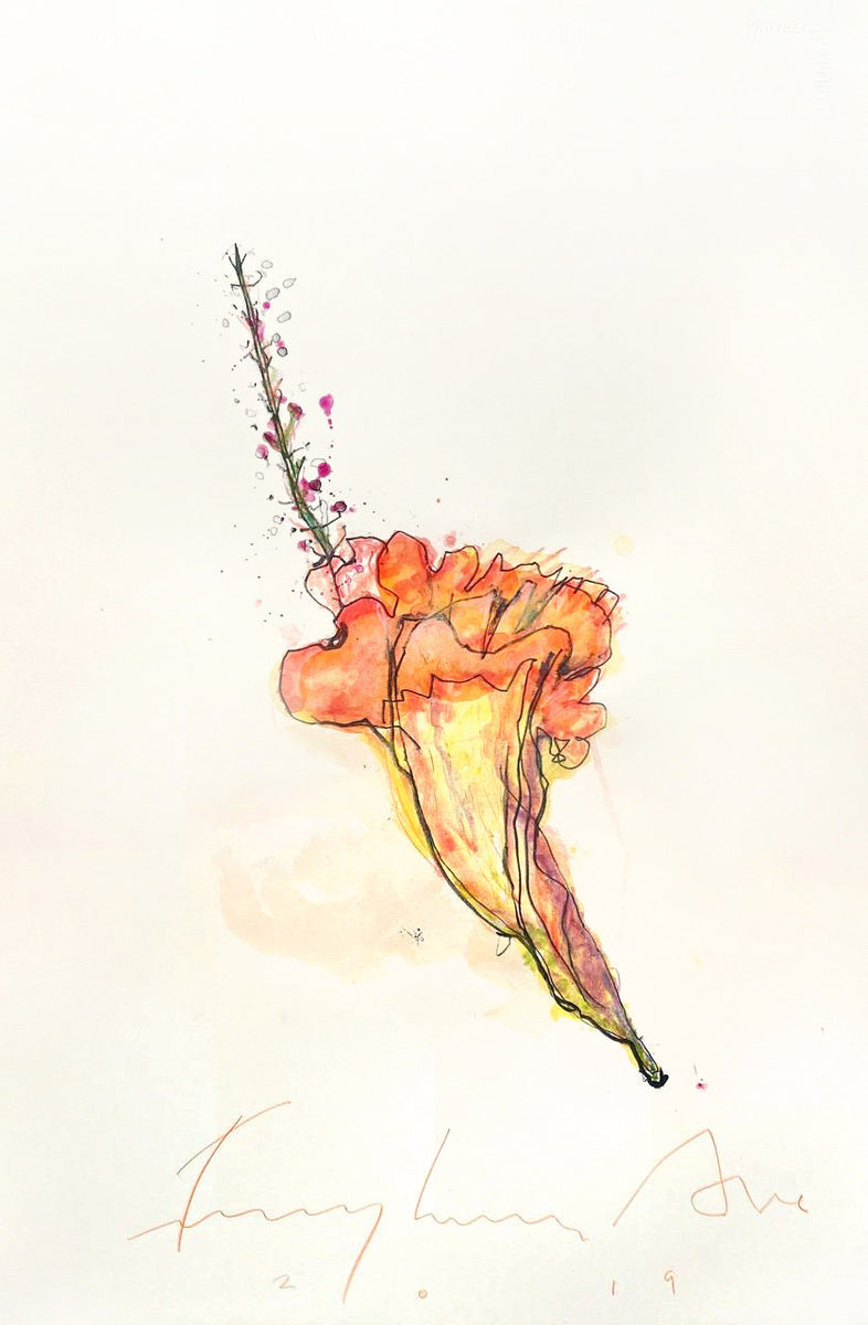 Prints for Website