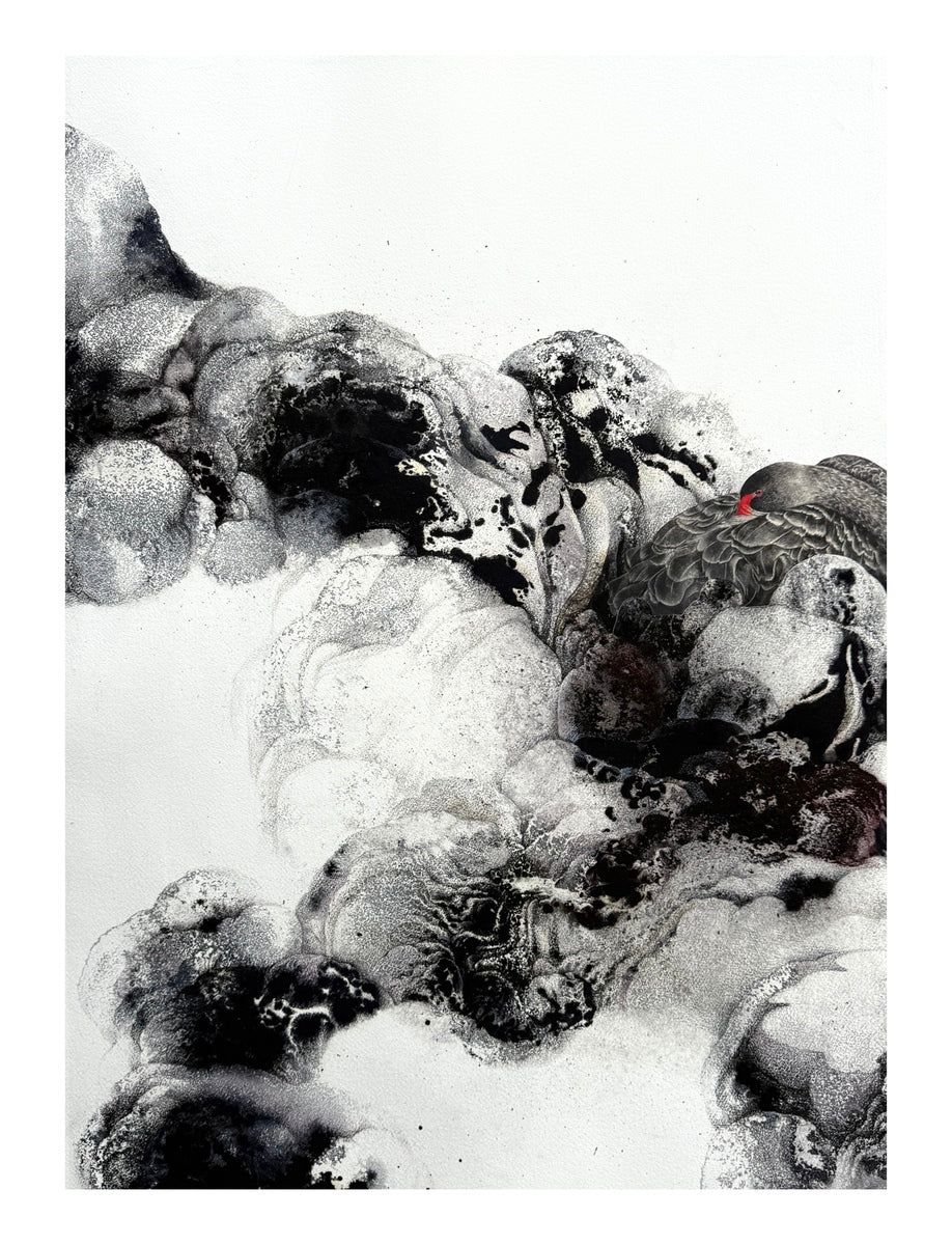 Sadaf Hesamiyan (Black Swan II)