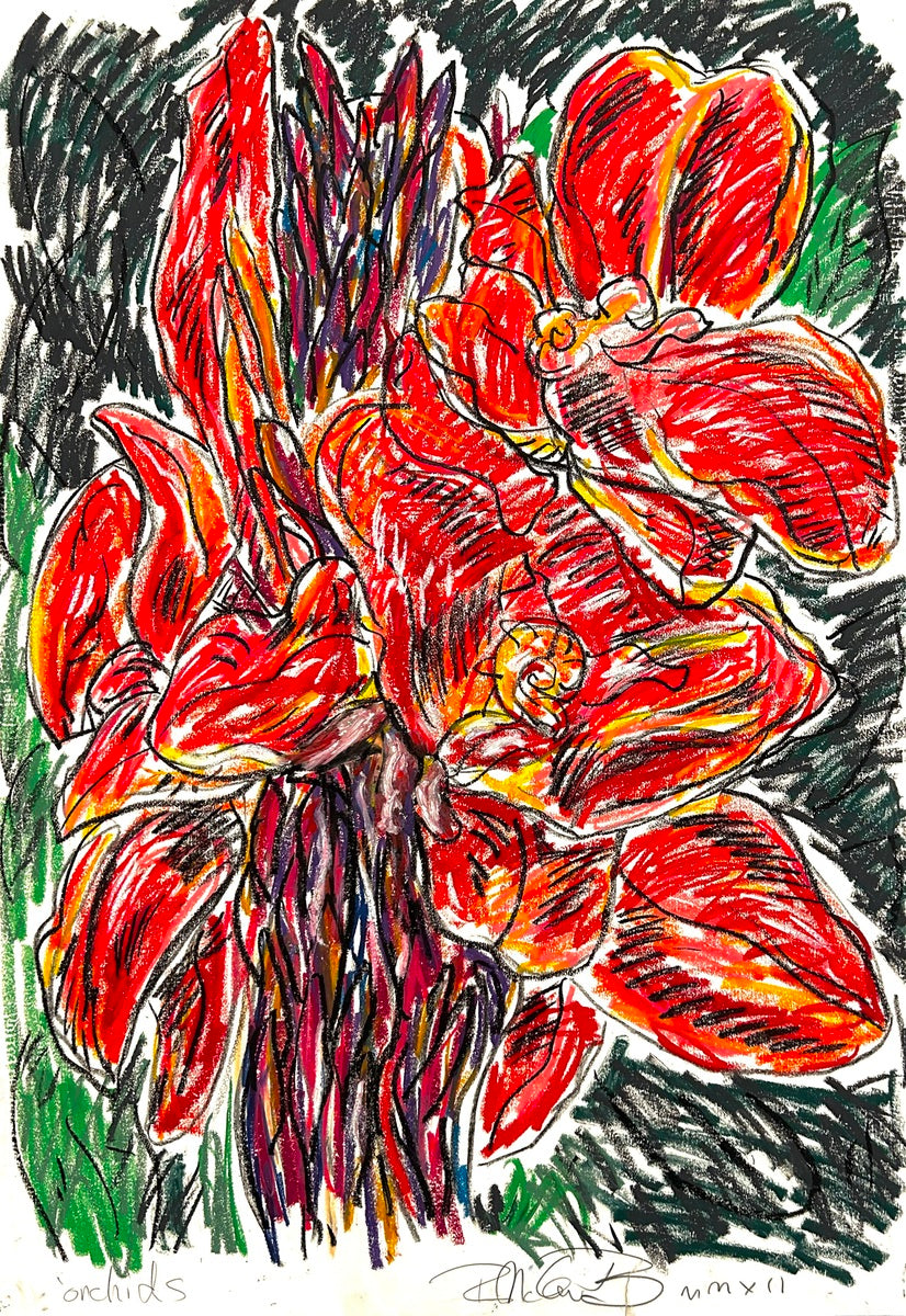 Orchids