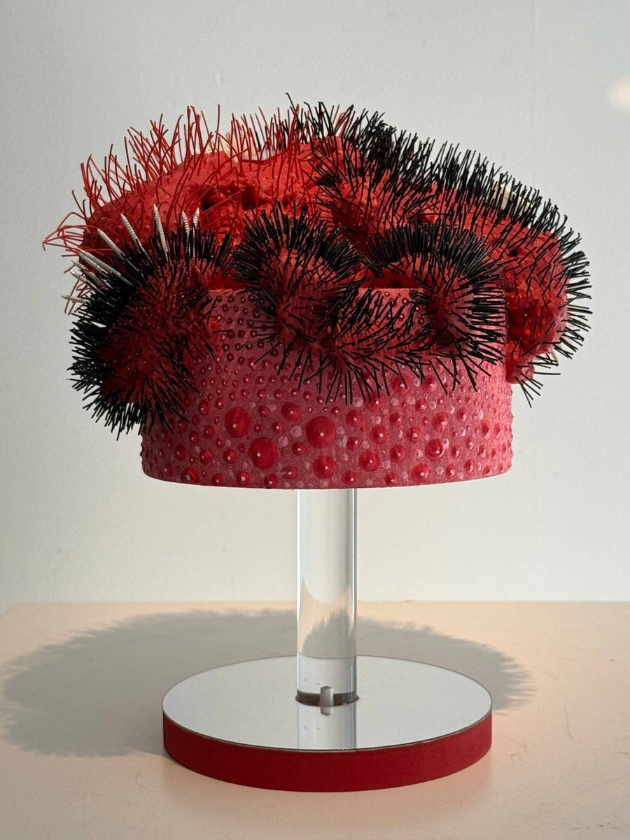 Pani Bolbolabadi (Untitled)