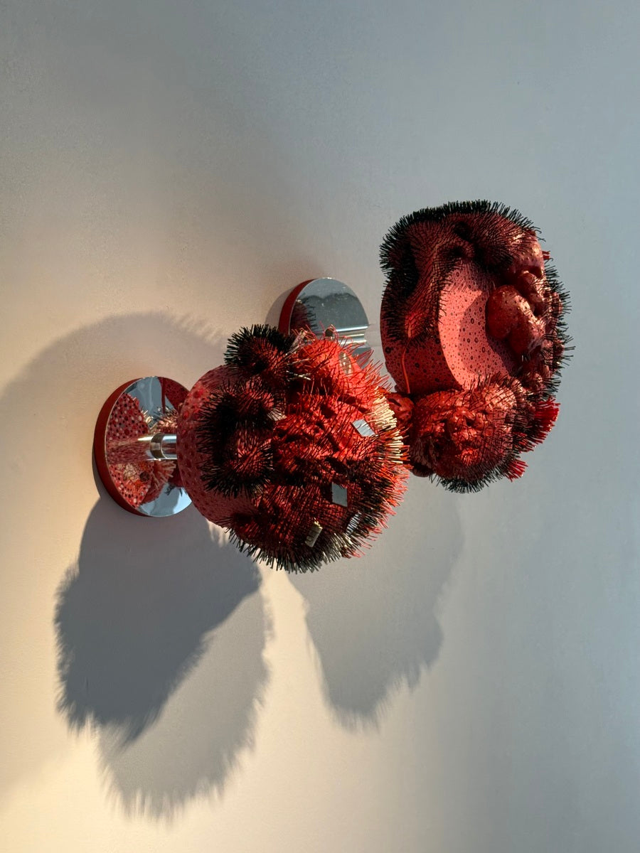 Pani Bolbolabadi (Untitled)