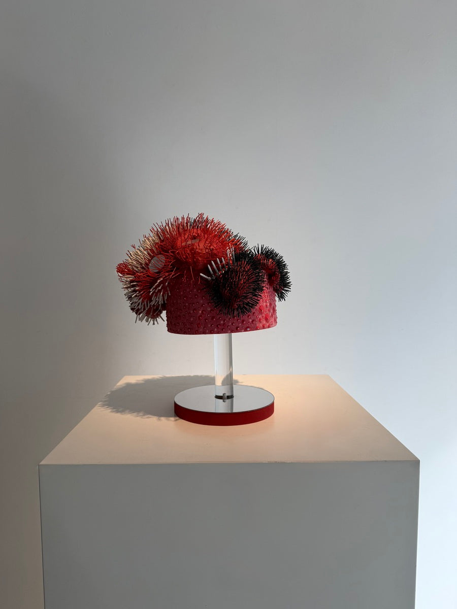 Pani Bolbolabadi (Untitled)