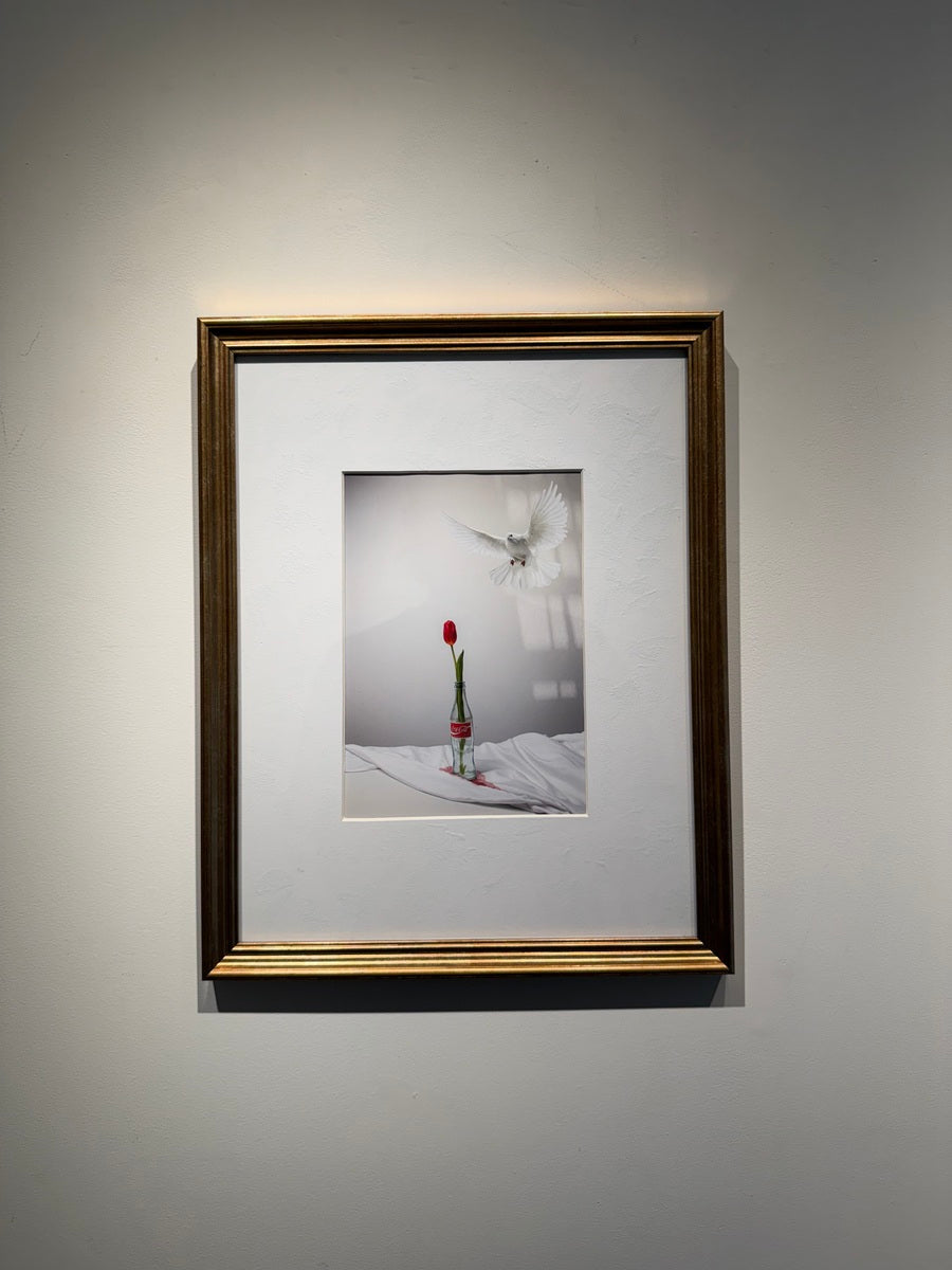 Mahsa Alikhani (Flower & Bird Series - 1/10)