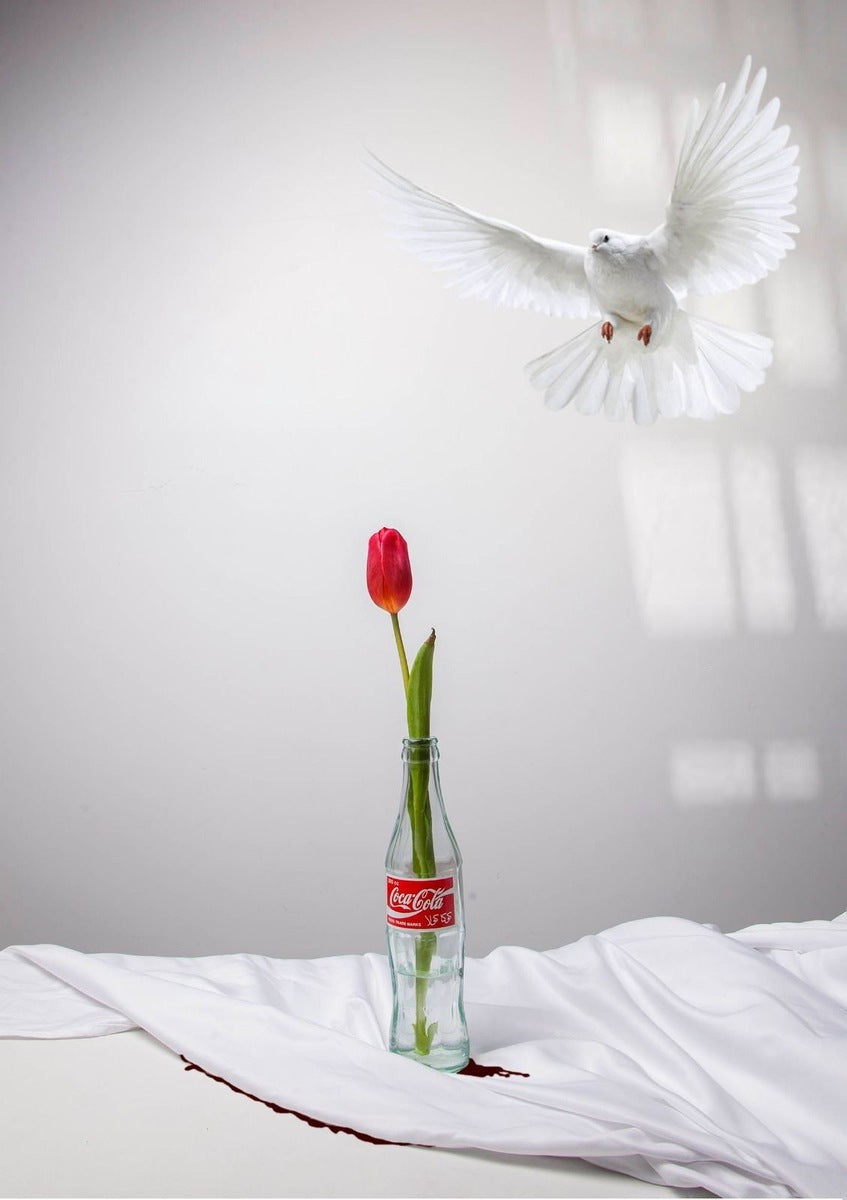 Mahsa Alikhani (Flower & Bird Series - 1/10)