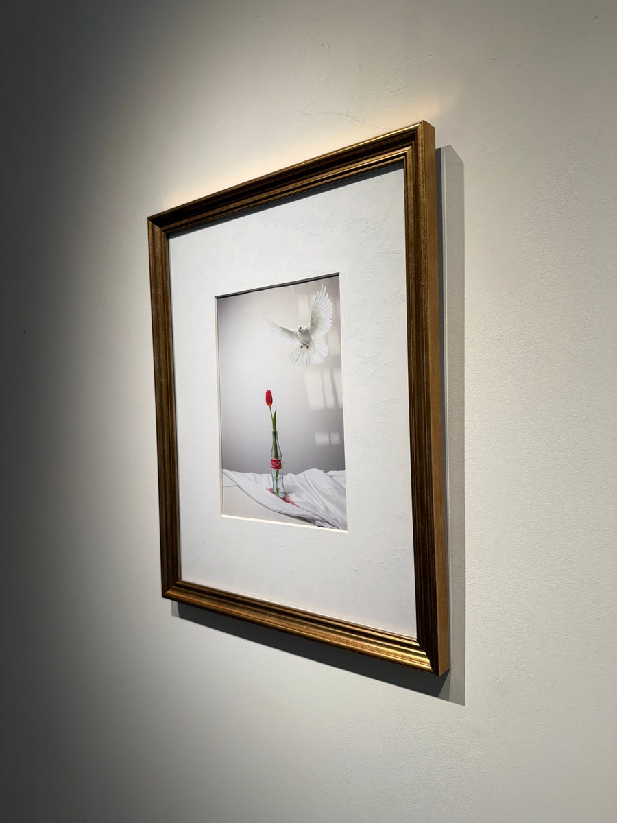 Mahsa Alikhani (Flower & Bird Series - 1/10)