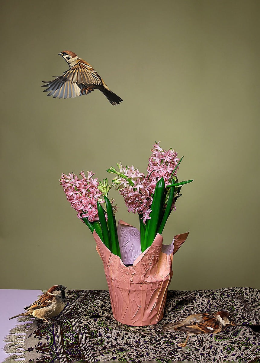 Mahsa Alikhani (Flower & Bird Series - 1/10)