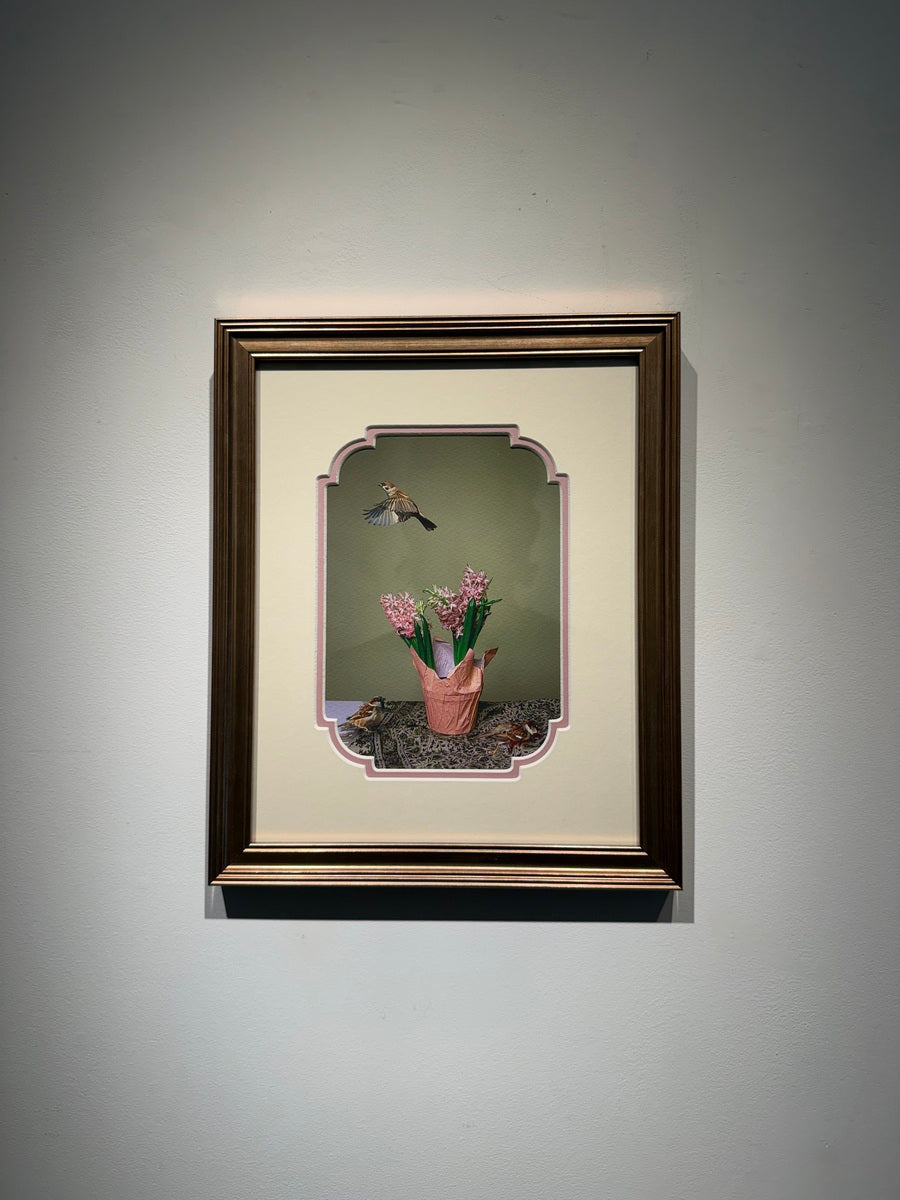 Mahsa Alikhani (Flower & Bird Series - 1/10)