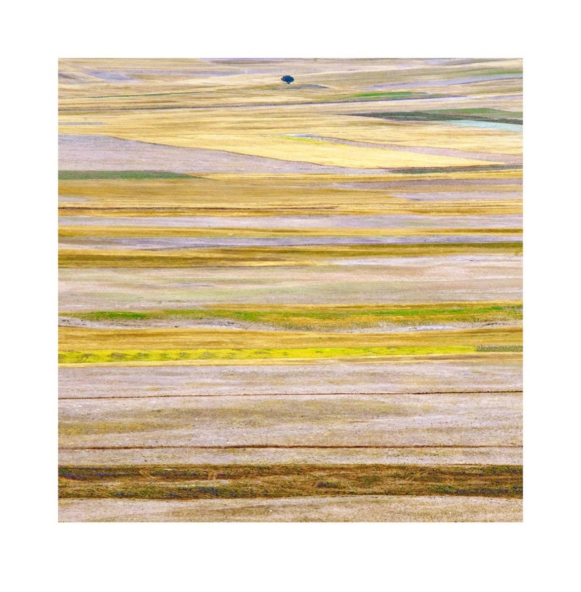 Lorestan Plains