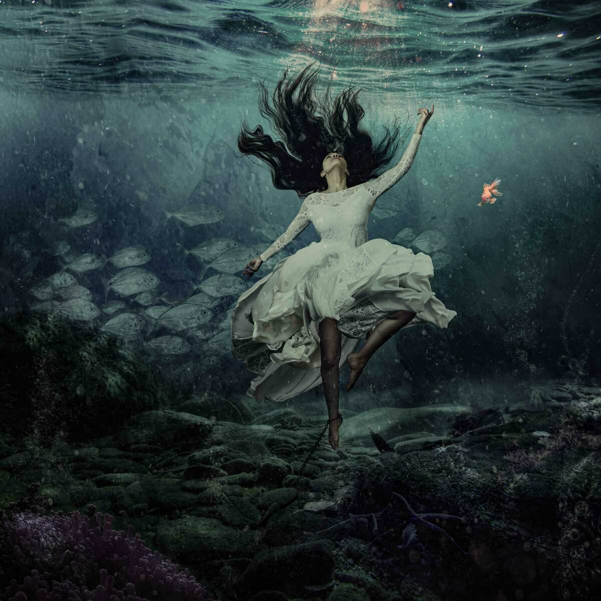 Gazelle Pezeshkmehr (Alive 5/12)