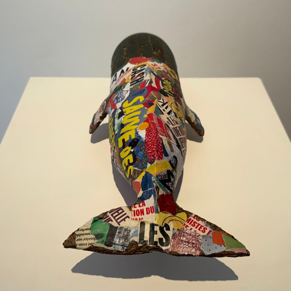 Roxana Fazeli (Untitled)