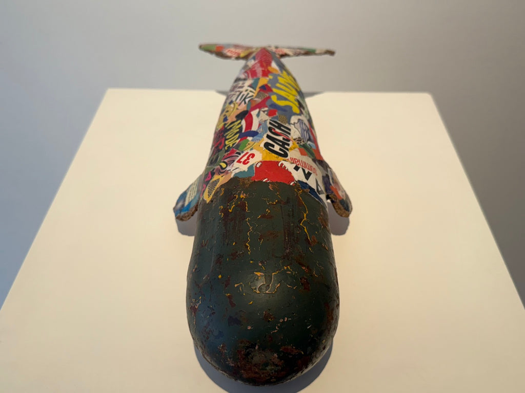 Roxana Fazeli (Untitled)