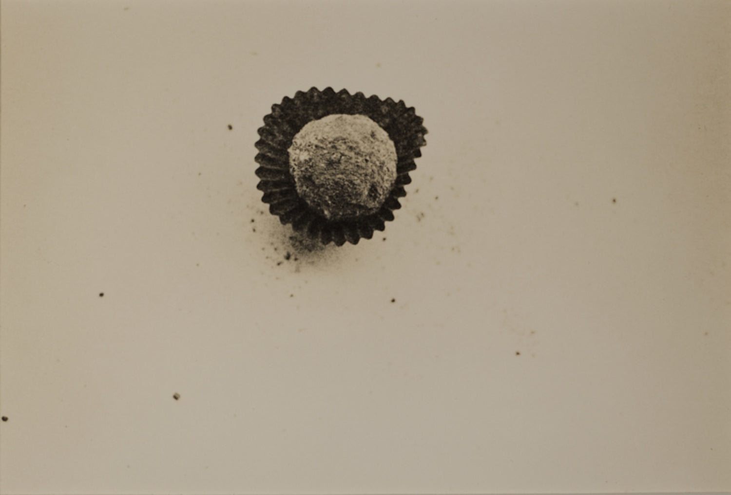 Cocoa - Scattered Series