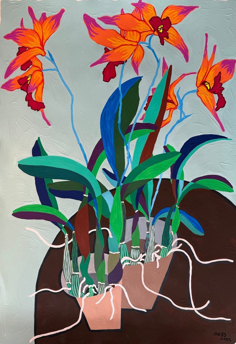 Quarantine Orchids #9