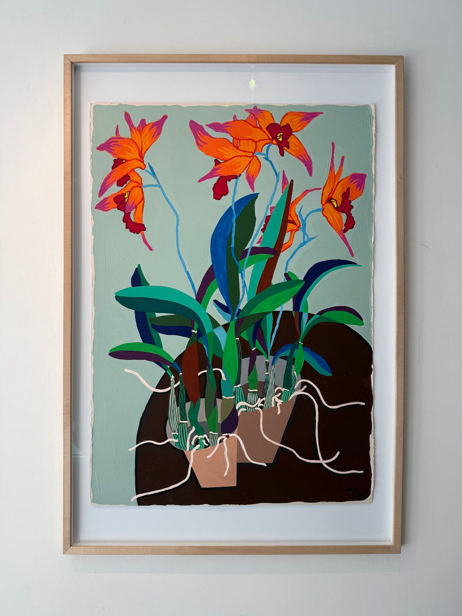 Quarantine Orchids #9