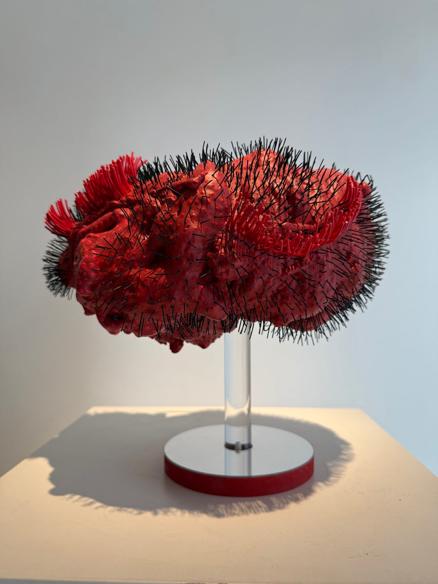 Pani Bolbolabadi (Untitled)