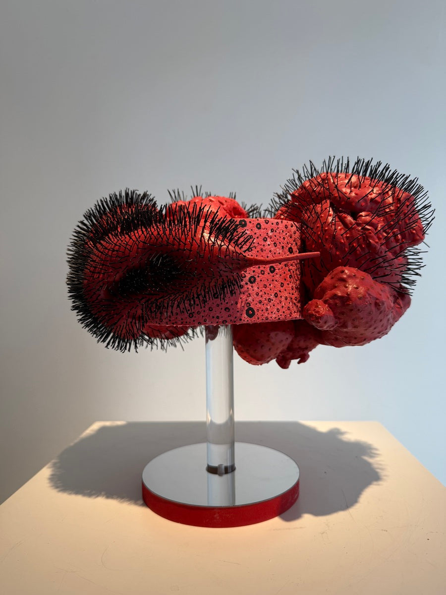 Pani Bolbolabadi (Untitled)