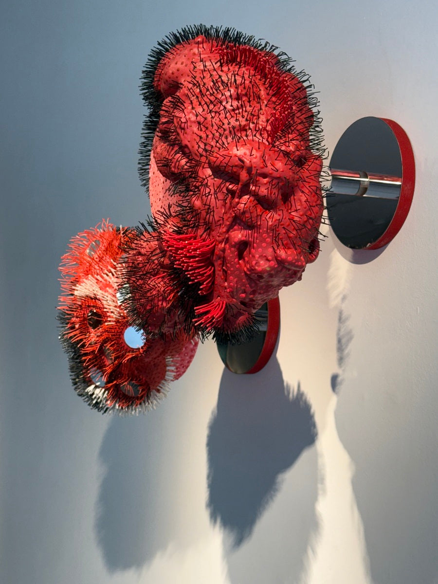 Pani Bolbolabadi (Untitled)