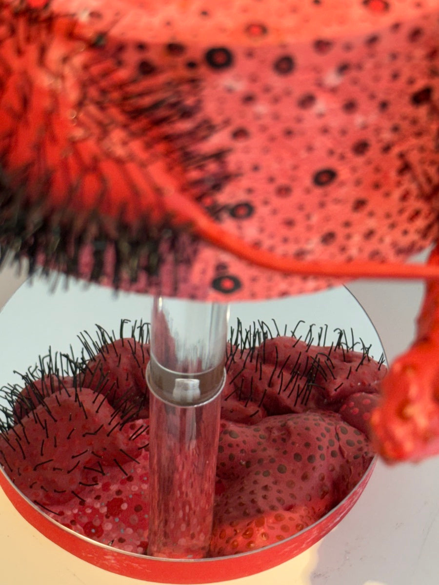 Pani Bolbolabadi (Untitled)