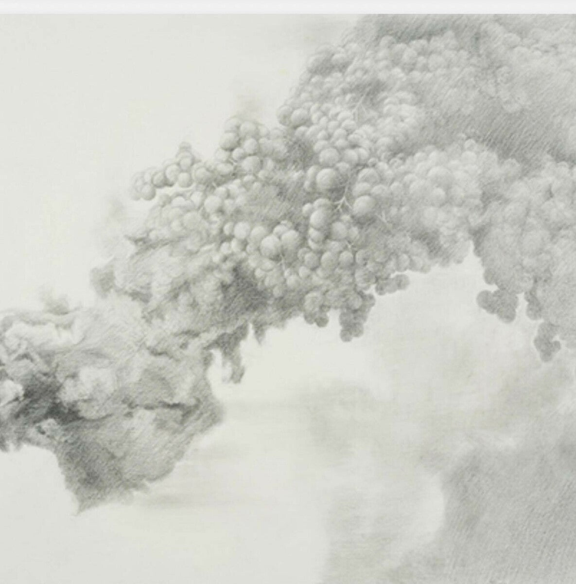 The State of a Transcendent Dichotomy