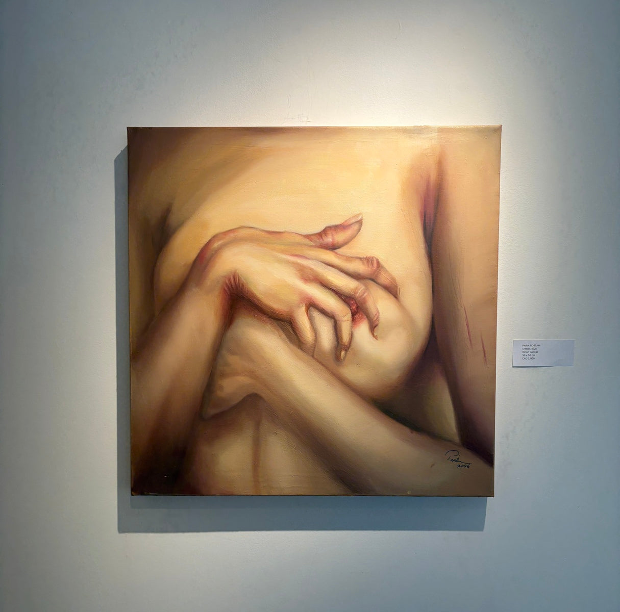 Untitled (Paria Rostami)