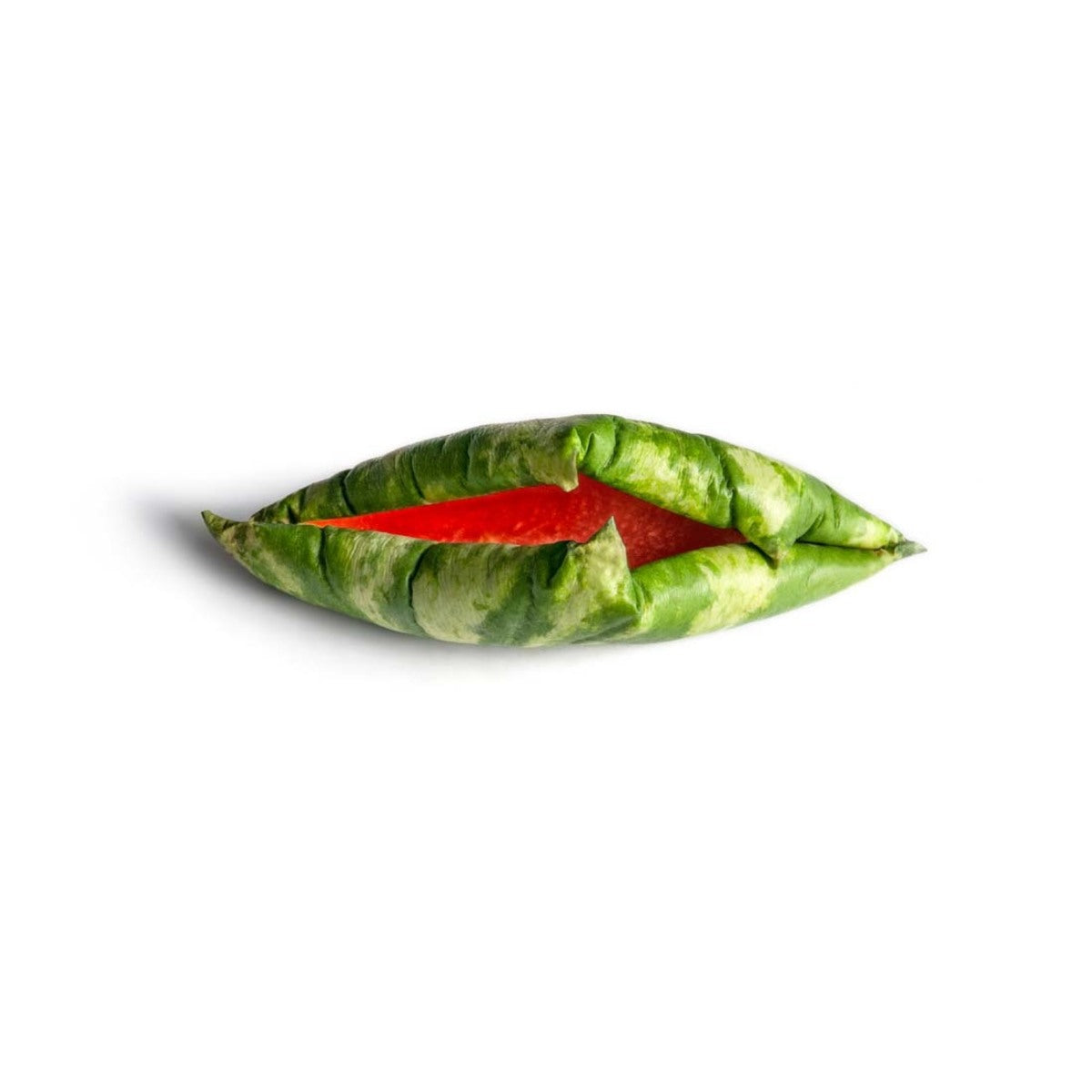 Watermelon 1/3
